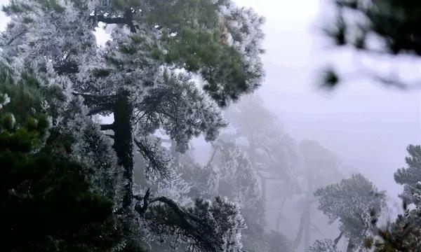 比亚迪S6烟台现在与优惠活动吗游戏画面