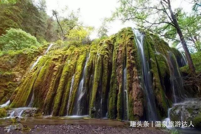 《木筏求生》无伤鲨鱼方法介绍